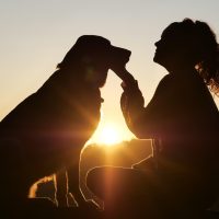 world 视界纪内容编辑苏见微伏案写作的侧影：手边摊开一本翻旧了的词典，屏幕上是待核对的公开页面，台灯把纸面照得发暖